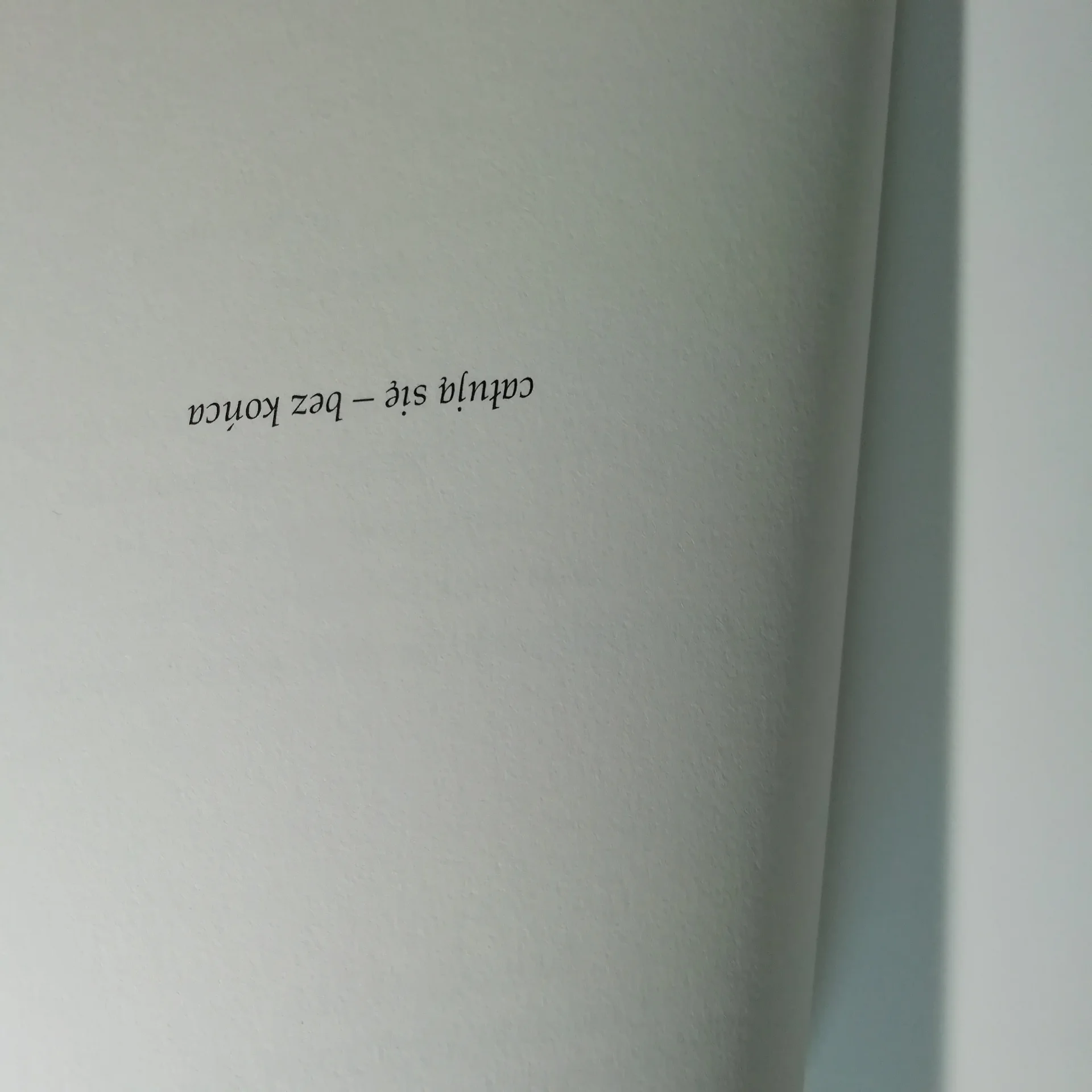Widoczny fragment otwartej książki - napis "całują się - bez końca".